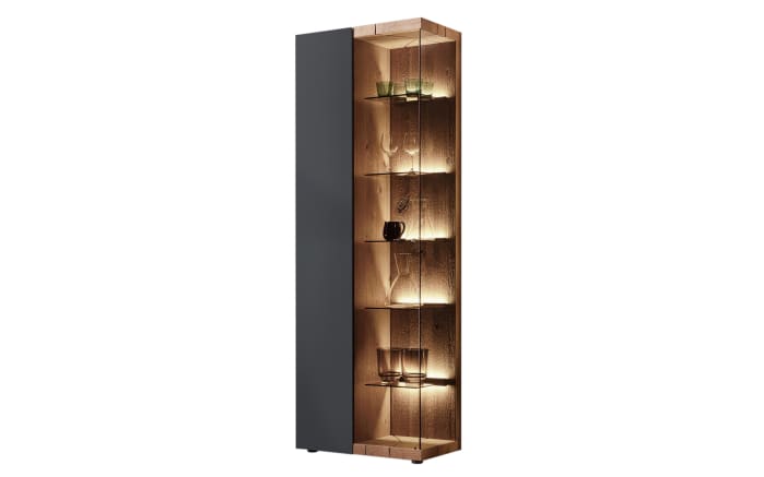 Standvitrine Vara, Kerneiche Umato massiv, anthrazit-01