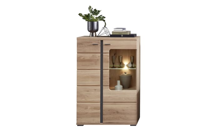 Vitrine Sonos II links, Altesche/Artisan Oak Nachbildung, inkl. LED-Beleuchtung-01