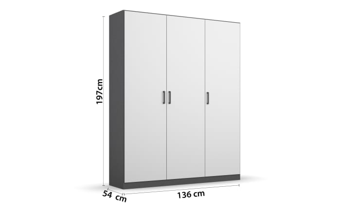 Drehtürenschrank Allrounder, grau metallic/alpinweiß, 3-türig, 2 Kleiderstangen, 2 Böden-03