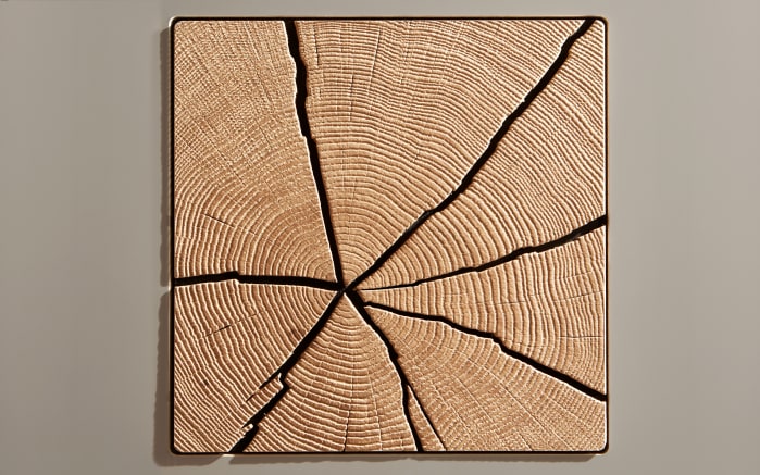Schlafzimmer Cena, Wildeiche Furnier/Lack grau, 180 x 200 cm,  Schrank 269 x 229 cm-06