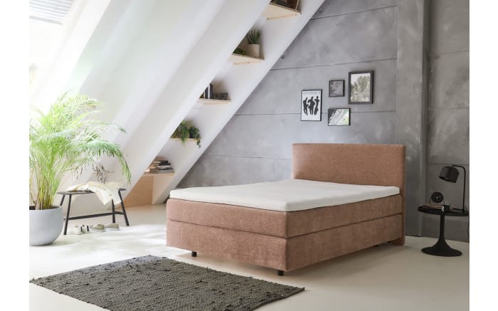 Boxspringbett OC-BX23163, teracotta, 140 x 200 cm-02
