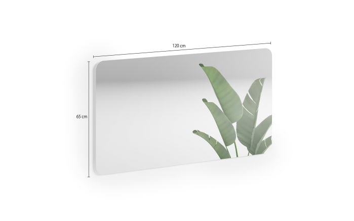 Spiegel Dillon, klar, 120 x 65 cm-02