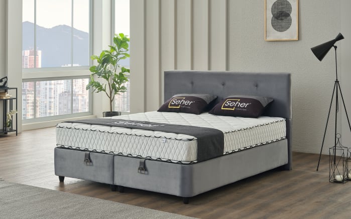 Polsterbett Almila, grau, 180 x 200 cm-01