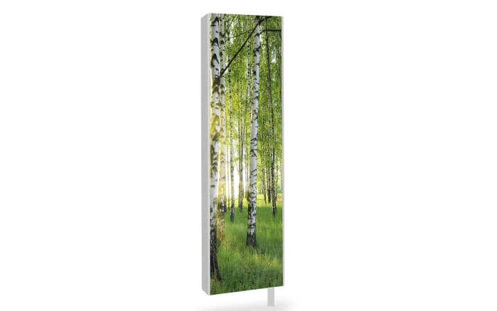 Wanddrehschrank WISTA.FORREST, Glas/grün-01