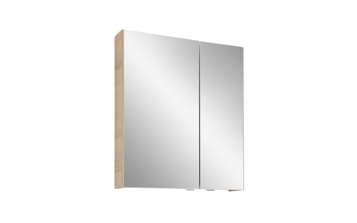 Spiegelschrank A-Plan, Polarpinie-Nachbildung, 59 x 70 cm-01