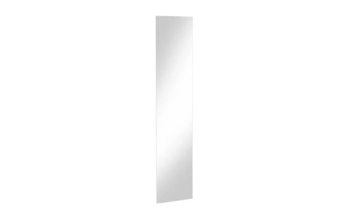 Spiegel 920 Multiraumkonzept, klar, 31 x 134 cm -01
