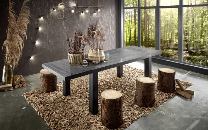 Esstisch Big System Deluxe in flamed wood black-02