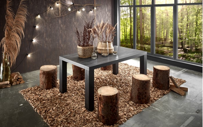 Esstisch Big System Deluxe in flamed wood black-01