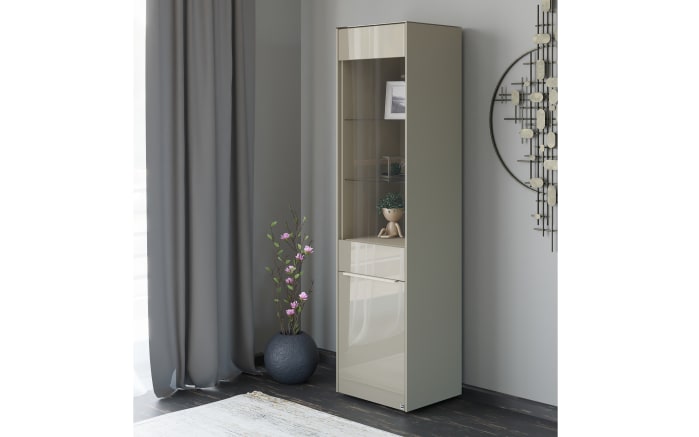 Standvitrine Reno, taupe/Edelstahl-Nachbildung-09