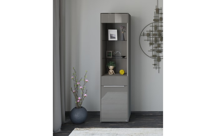 Standvitrine Reno, anthrazit/Edelstahl-Nachbildung-09