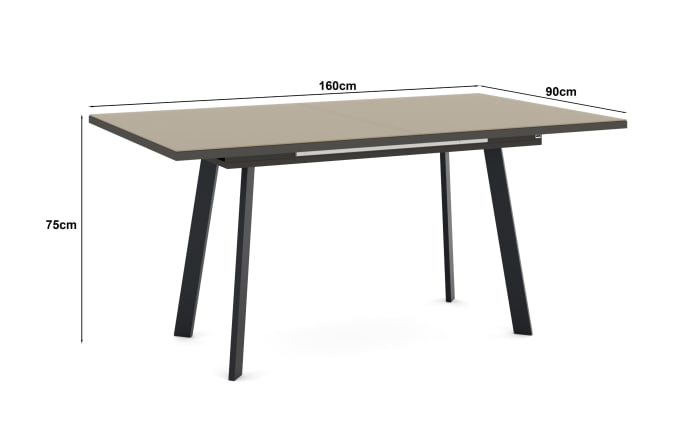 Esstisch Reno, taupe/schwarz-05