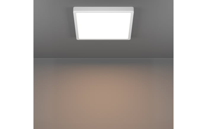 LED-Deckenleuchte Fueva 6, weiß-05