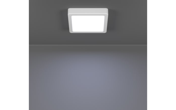 LED-Deckenleuchte Fueva 6, weiß-04