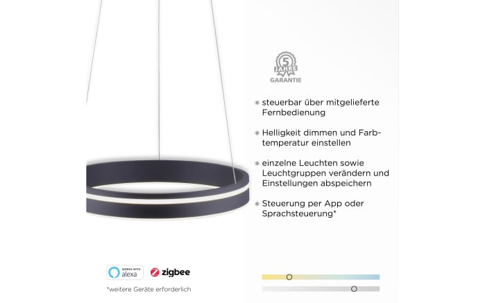 LED-Pendelleuchte Q-Vito, anthrazit, 40 cm-06