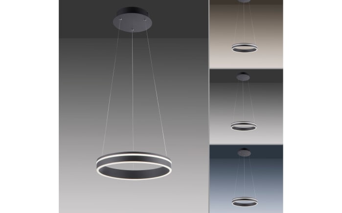 LED-Pendelleuchte Q-Vito, anthrazit, 40 cm-04