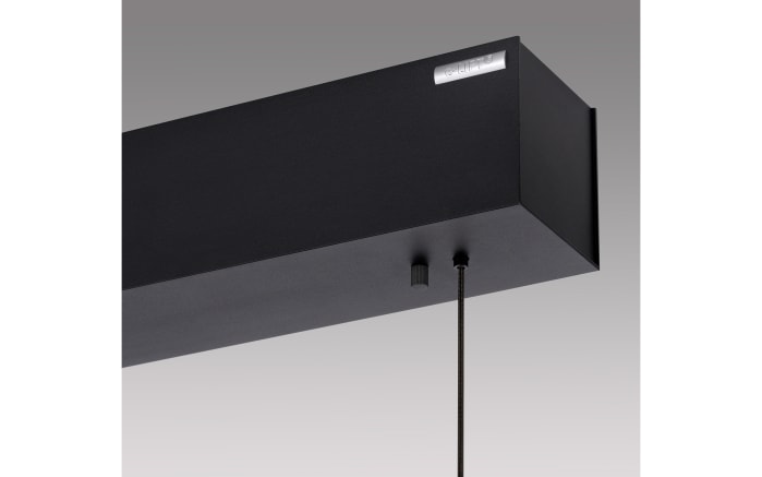 LED-Pendelleuchte Pure E-Motion, Eiche geölt/schwarz, 120 cm-03