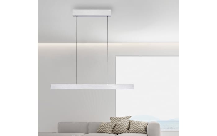 LED-Pendelleuchte Pure E-Motion, aluminiumfarbig, 120 cm-08