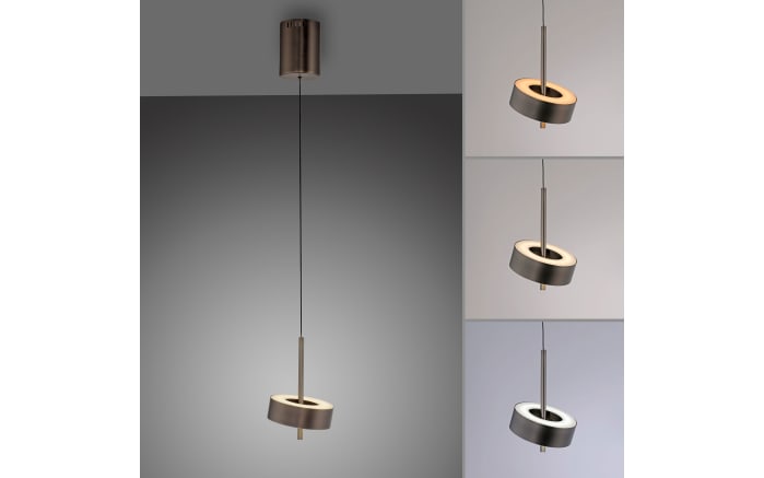 LED-Pendelleuchte Q-Rotate, dunkelbraun, inkl. Smarthomefunktion-06