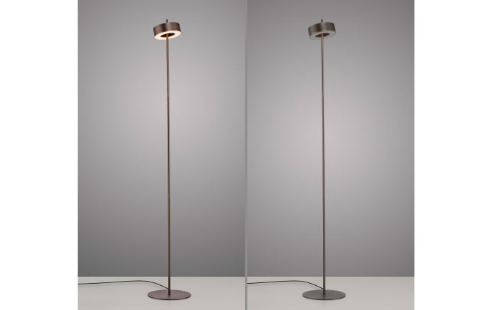LED-Stehleuchte Q-Rotate, dunkelbraun, inkl. Smarthomefunktion-03