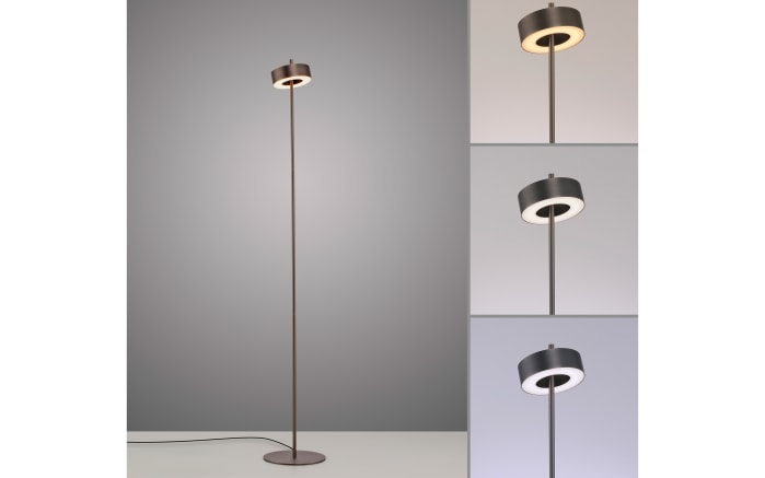LED-Stehleuchte Q-Rotate, dunkelbraun, inkl. Smarthomefunktion-04