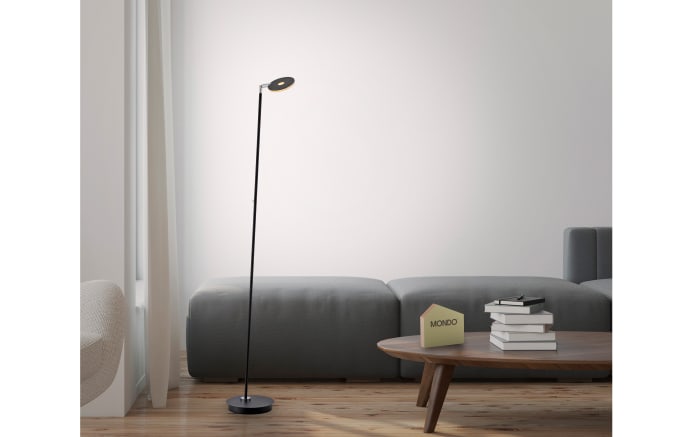 Akku-LED-Standleuchte Mondo Lumana, anthrazit, inkl. CCT und Memoryfunktion-06