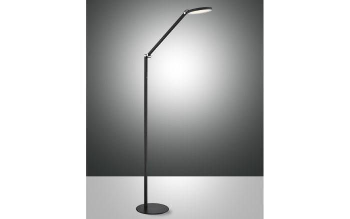 LED-Standleuchte Regina, schwarz, 160 cm-02