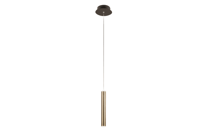LED-Pendelleuchte Prado, schwarz/goldfarbig, 1-flammig, 16 cm-01
