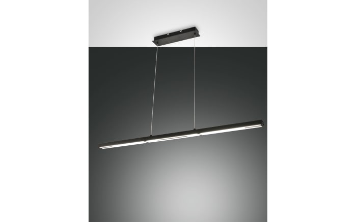 LED-Pendelleuchte Ling, schwarz, 110 cm-02