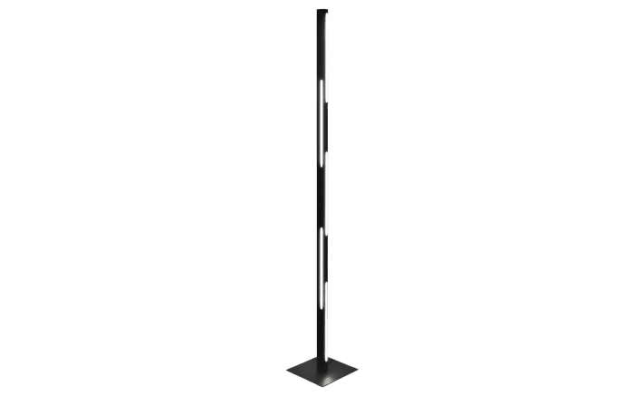 LED-Standleuchte Ling, schwarz, 165 cm-01