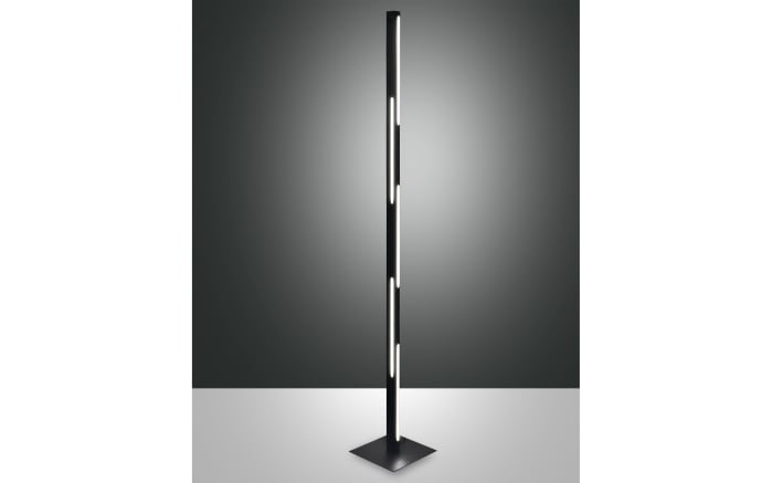 LED-Standleuchte Ling, schwarz, 165 cm-02
