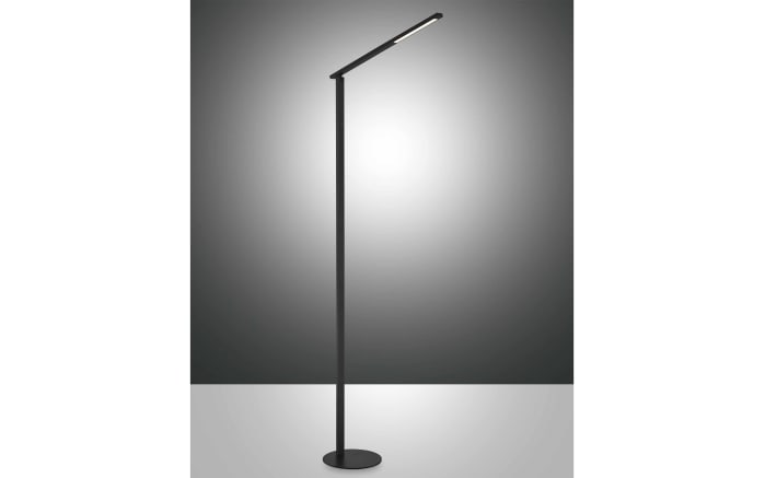 LED-Standleuchte CCT Ideal, schwarz, 175 cm-02