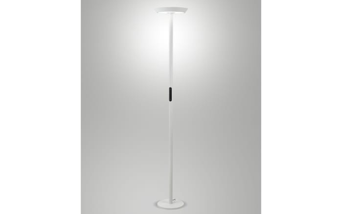 LED-Stehleuchte Fizz, weiß, inkl. CCT Touchdimmer-01