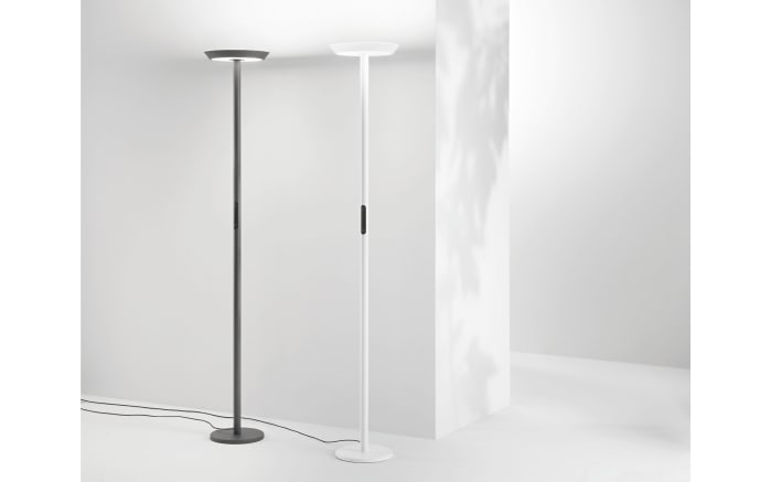 LED-Stehleuchte Fizz, anthrazit, inkl. CCT Touchdimmer-02