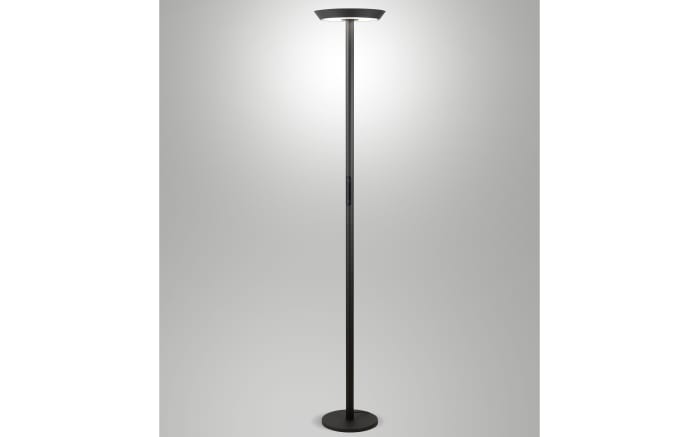 LED-Stehleuchte Fizz, anthrazit, inkl. CCT Touchdimmer-01