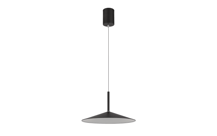 LED-Pendelleuchte Lampone, schwarz, 1-flammig-01