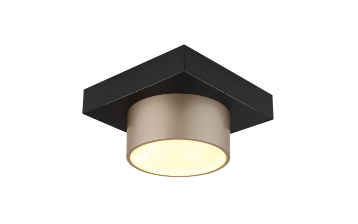 LED-Deckenleuchte Raymond, schwarz/goldfarbig-02
