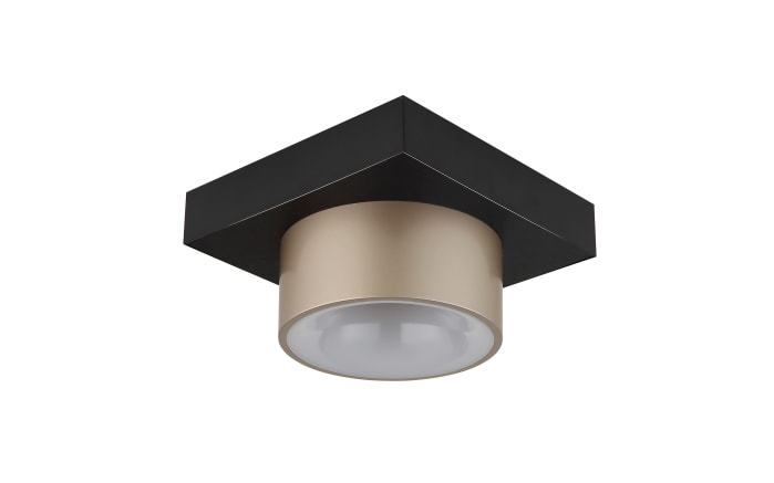 LED-Deckenleuchte Raymond, schwarz/goldfarbig-01