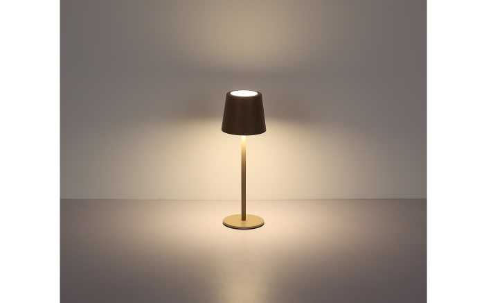 Akku-Tischleuchte Vancouver, sandfarbig, inkl. USB-Kabel-07