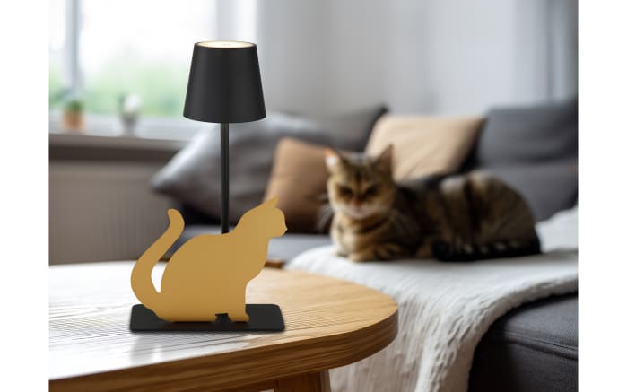 Akku-Tischleuchte Furri, schwarz/goldfarbig-06