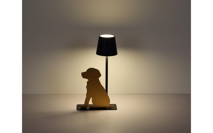 Akku-Tischleuchte Furri, schwarz/goldfarbig-08