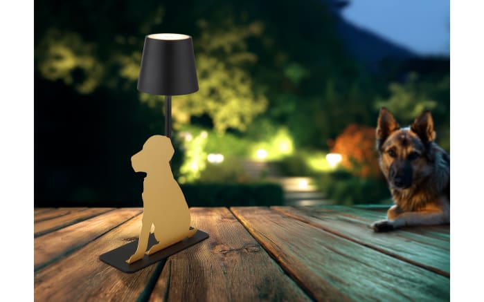 Akku-Tischleuchte Furri, schwarz/goldfarbig-07