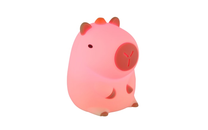 Akku-Tischleuchte Capybara, braun, inkl. RGB-Farbwechsler-05