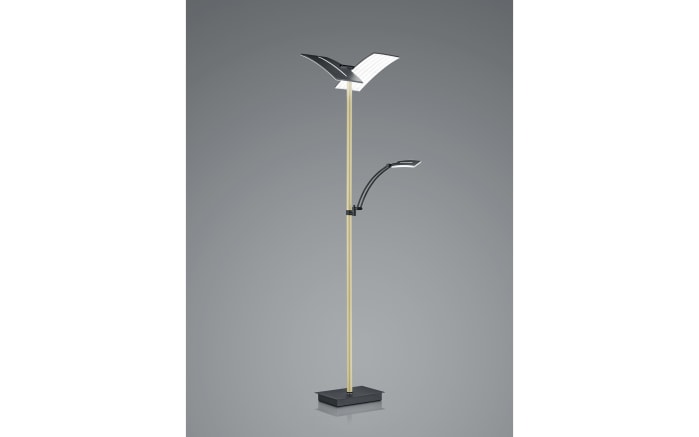 LED-Standleuchte Delara, champagner/schwarz, 182 cm-02