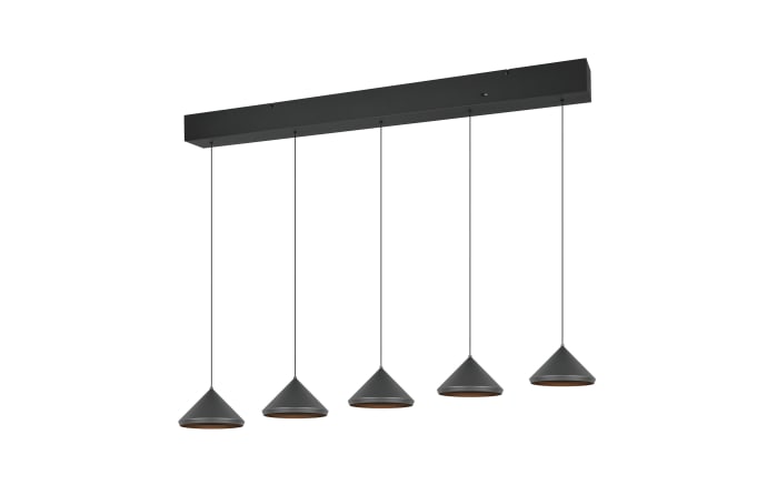 LED-Pendelleuchte Laguna, schwarz, 5-flammig, inkl. Höhenverstellung-01