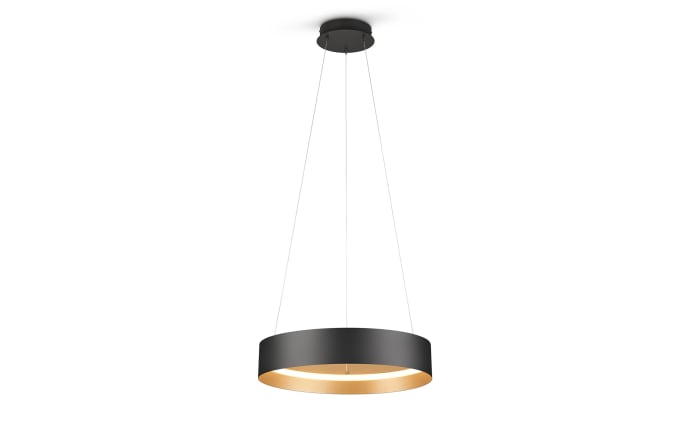 LED-Pendelleuchte Loop, schwarz/gold, inkl. stufenloser Höhenverstellung-03