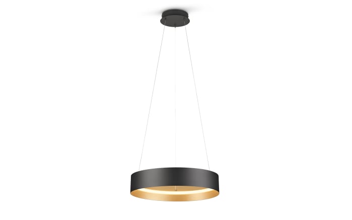 LED-Pendelleuchte Loop, schwarz/gold, inkl. stufenloser Höhenverstellung-01