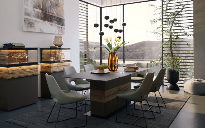 LED-Pendelleuchte Cannon, schwarz, 11-flammig, inkl. stufenloser Höhenverstellung -05