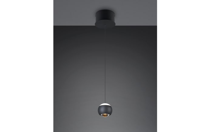 LED-Pendelleuchte Cannon, schwarz, 200 cm, 1-flammig, inkl. Höhenverstellung -02