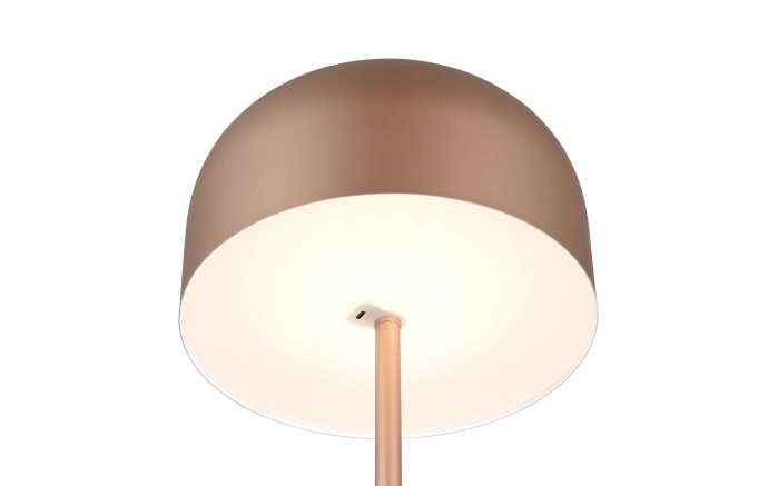 LED-Akkustehleuchte Jeff, coffee-04