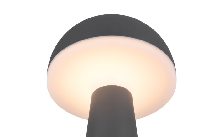 LED-Akku-Tischleuchte Fungo, anthrazit, 31 cm-03